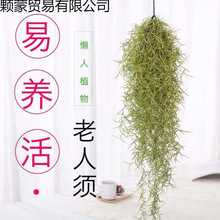 �՚��P��������҃����Ի����k���ҵ���ֲ����˟o���Gֲ����ȩ