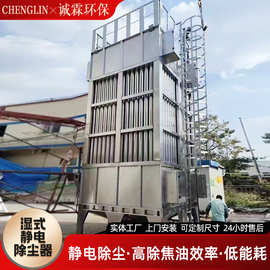 定制高压除尘设备黑烟废气处理用电捕焦油器湿式静电除尘器