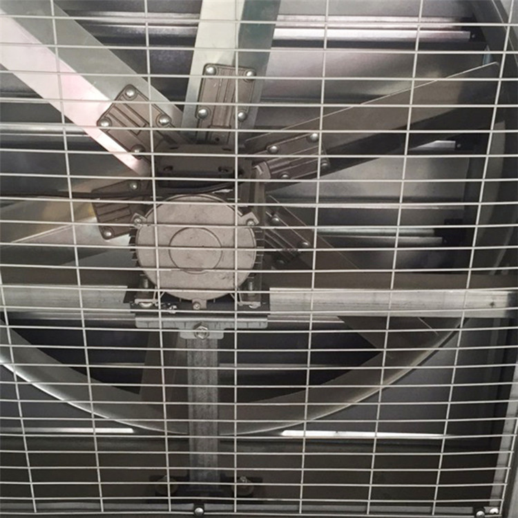 Máquina de procesamiento de té para té verde y té blanco y té negro