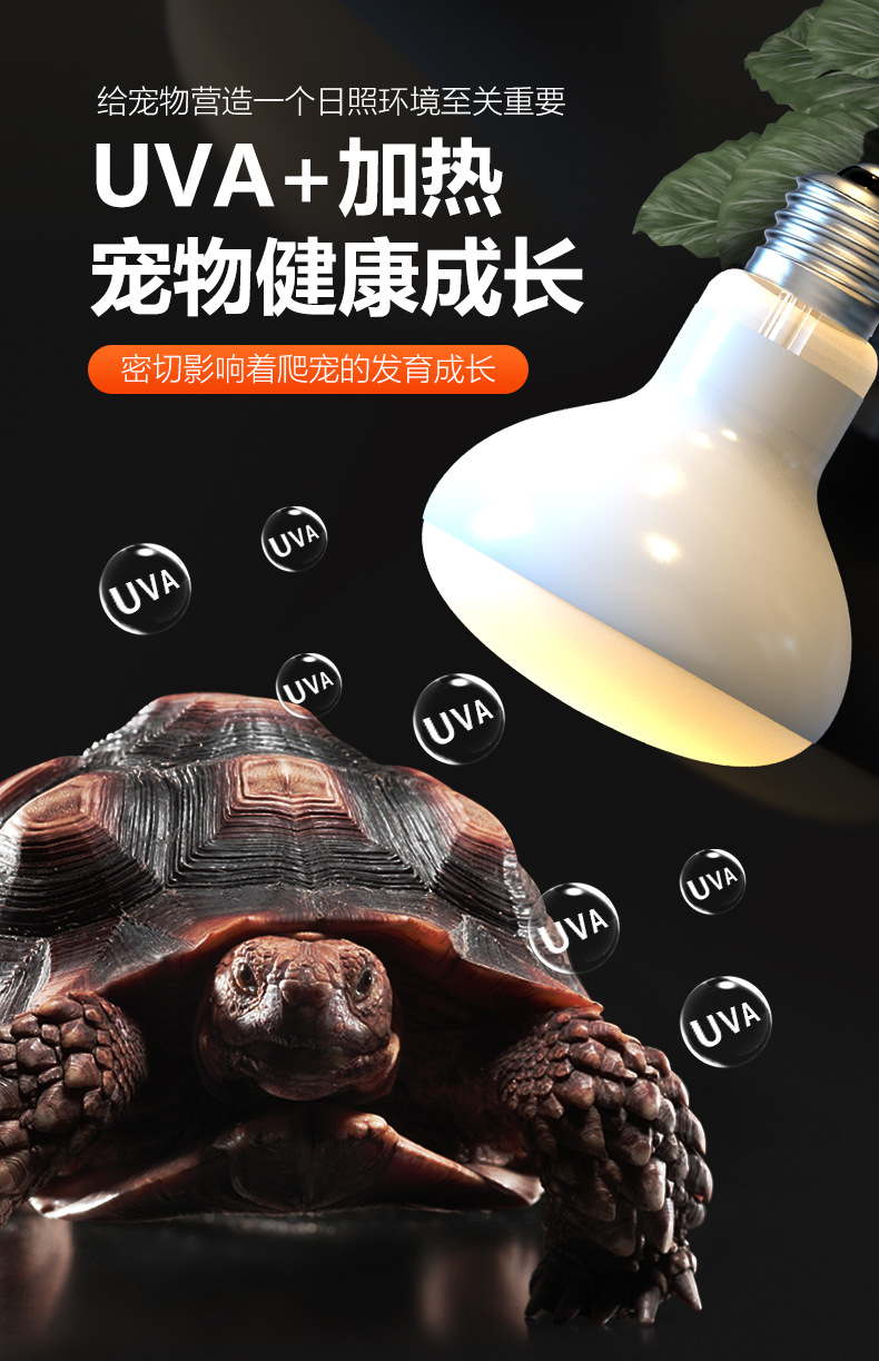 ND-05-聚砂灯2024新版_02