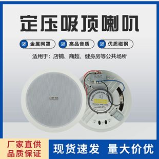 Constant Pressure Ceiling Speaker Audio Background Music Speaker Ceiling Speaker Embedded Special Ceiling Speaker