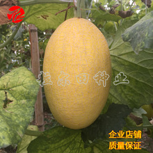 300SƤ25ܹϷN ƷNSƤtWy