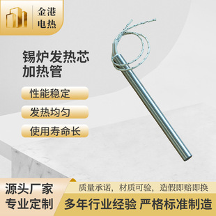 220V380V Tin Furnace Heating Tube Custom Mold Dry-Fired Stainless Steel Single-Head Heating Tube Heating Rod for Industrial Use