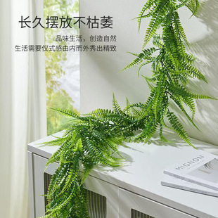 �Ғ첨˹�ٗl���ٵ��·������ٻ������͏d���ȾGֲ����Gֲ���