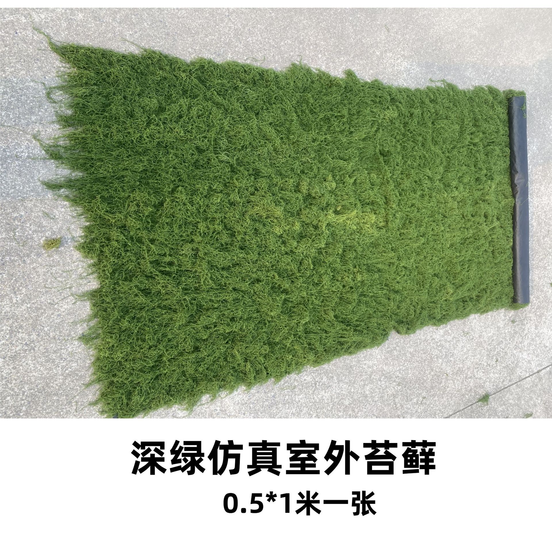 Dark green outdoor filamentous moss turf 0.5*1 meter piece