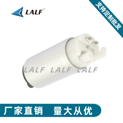 Factory supply car 38 fuel pump 13578997 motorcycle fuel pump gasoline pump FUEL PUMP