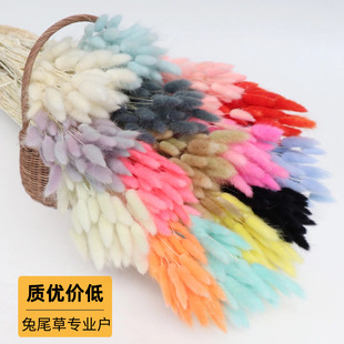 Dried Bunny Tail Grass Eternal Flower DIY Material Ornaments Cross-Border Christmas Gift Factory Wholesale Bouquet Pressed Flowers
