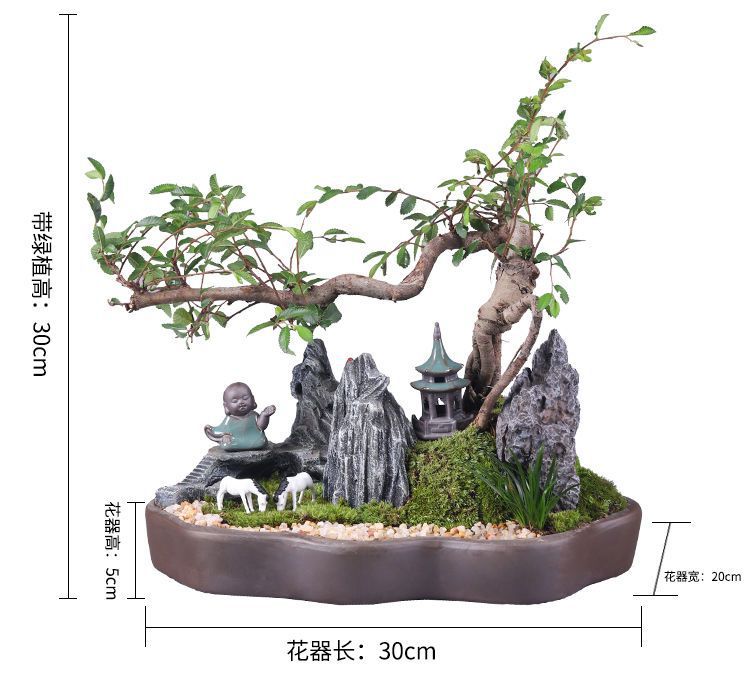 详情图