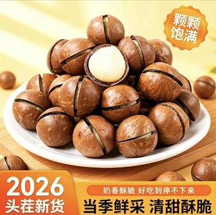 ���l�����Ĺ����w�������ִ��_���ׄ��Թ������Ĺ�ɢ�b��؛���l