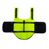 Life jacket, swimwear, pet