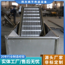 不锈钢提升清洗机 链板清洗槽提升机 食品药材果蔬清洗机厂家定制