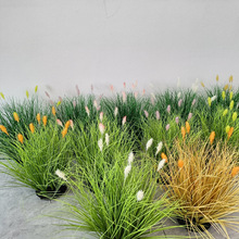 ���lëë�x�F�����JȔ��β���[�ͷ���ܛ�b�쾰��β��