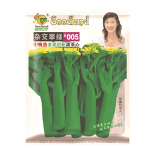�s����G#005�������ѿ�t�������  ϲ����˾ֱ�������߲˷N��