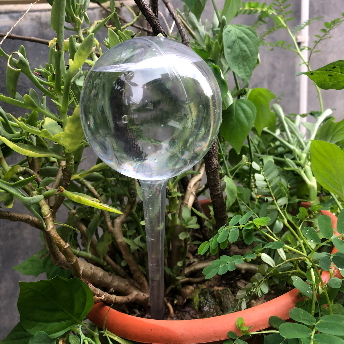 Plástico transparente verde larga bola riego de flores plantas en maceta riego perezoso riego de viajes goteo riego