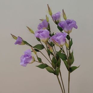 7�^�۹�����ԭ��đ���滨���l�ٻ���ɫ�羳؛Դ����Ĕz����