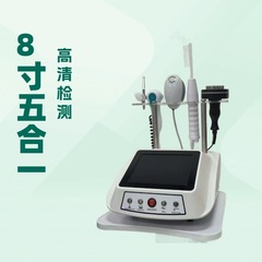 外贸爆款8寸五合一检测理疗仪多功能头皮护理生发仪毛囊检测仪