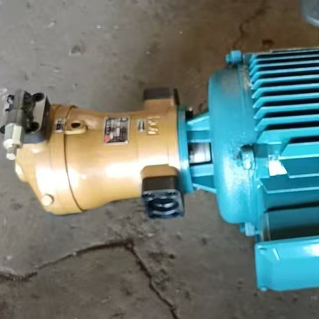 4-7.5/11/15/18.5/22/30/37/45/55/75/90KW柱塞泵喇叭口/平头电机