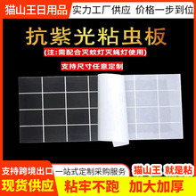 灭蚊灯粘纸粘蝇纸粘捕式灭蝇灯用黑色粘虫板驱除小飞虫神器多规格