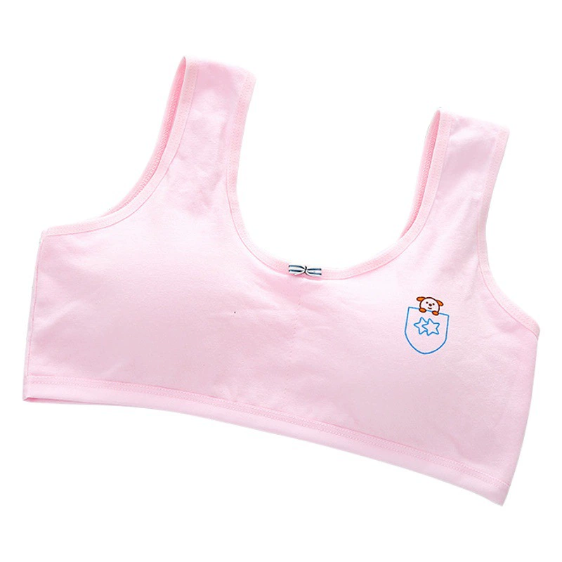 Оптовая продажа хлопчатобумажный бюстгальтер для развития учащихся начальной школы 12-16 лет