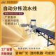 Belt Sorting Assembly Line Robot Visual Recognition Automatic Sorting Machine Cloud Warehouse Logistics Express Fully Automatic
