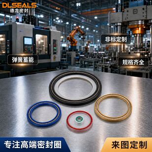PTFE�������ܷ����ܷ�Ȧ�����ͷ�Y�������y�w�����ķ��͉��ܷ��