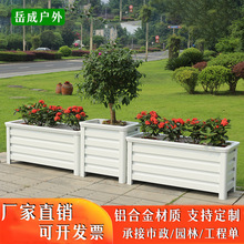 �X�Ͻ�������̖�L���νM�ϻ��۵�·���۸��xͥԺ�̨�Nֲ��