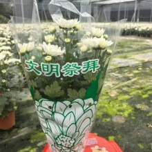 �S�հ׾����Ի���ֱ���������������������컨�������҃�������B