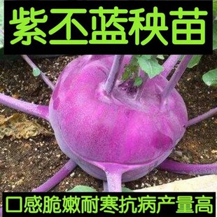 �����{�N�Ӵ�ȫ������^��ˮ�������{�N��ԭ�b�N�Ӵ�ȫ���l���l
