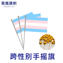 跨性别变性手摇彩虹旗小旗14*21cm涤纶印花旗帜Transgender flag