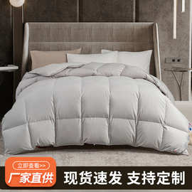 90%白鹅绒羽绒被子被芯保暖春秋全棉纯棉子母被羽绒被四季通用