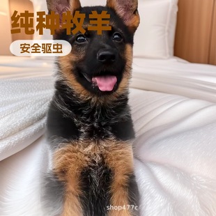 ���N������Ȯِ��������Ȯ���w�����ڱ��ǹ���Ȯ����Ȯ���ﹷ��