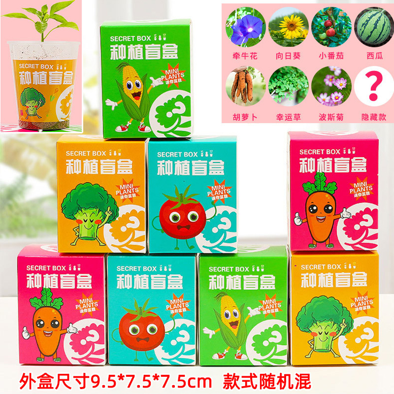 마룬 식재 블라인드 박스 믹스 10박스