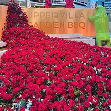 õٲ滨ٻٲWtõ廨b̈