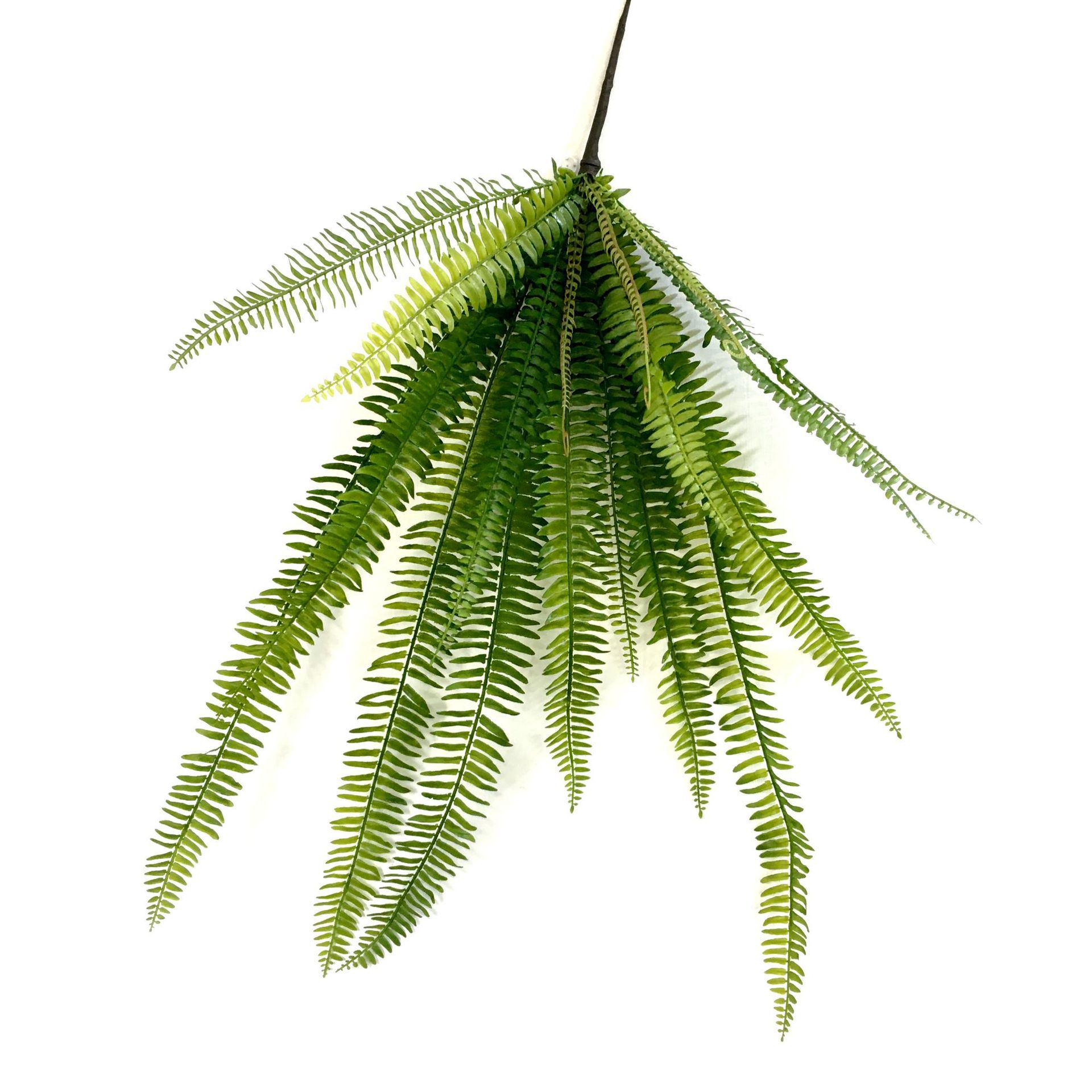 simulazione di grande decorazione murale di felce persiana con erba appesa a parete vite piante verdi tessuto di seta grande erba persiana_voghion.com