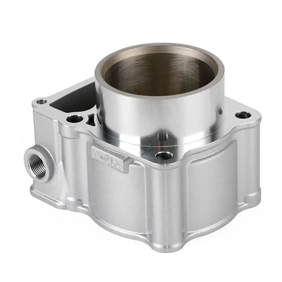 Cylinder and parts suitable for Kawasaki KLX300 KLX250