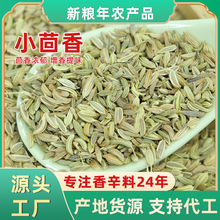 新鲜小茴香散装500g火锅料炖肉烧烤做菜香辛调料大全无硫小茴香籽