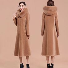 ����Ƥ������Ů2026�����º���ë�I�w������q����Ƥëһ�w���L��