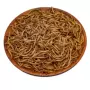 澳洲食用昆虫添加剂昆虫