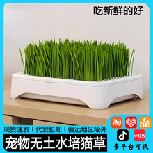 �o��ˮ��؈������ȥ��ë����˷Nֲ؈�ݷN������P��ë�݌�����Ʒ