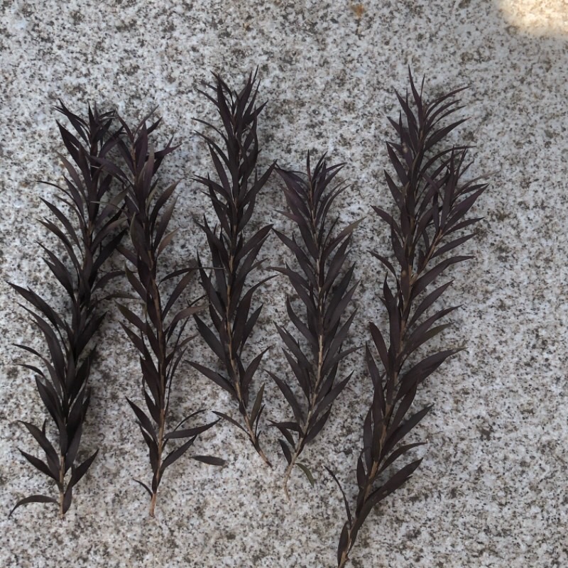 微信图片_20240525124605