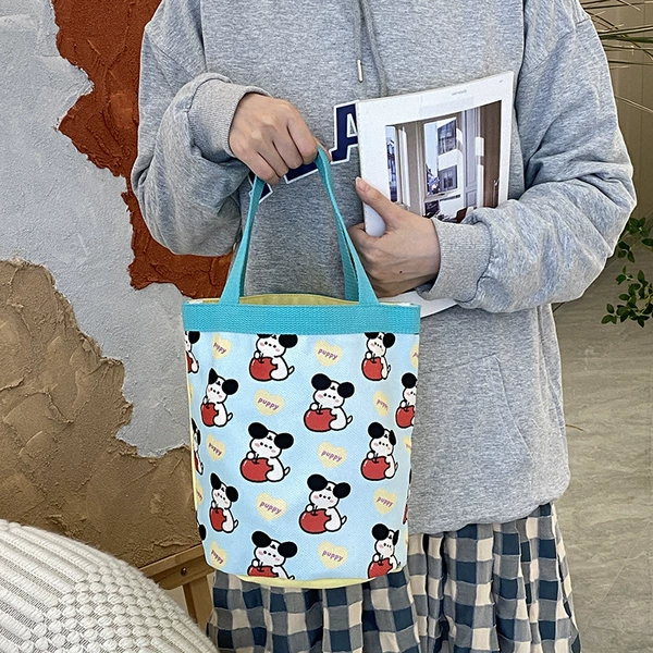 Apple, bag, straps
