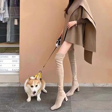 ɫ^ϥLѥŮ2025ﶬָLͲѥСѥɫͲѥ