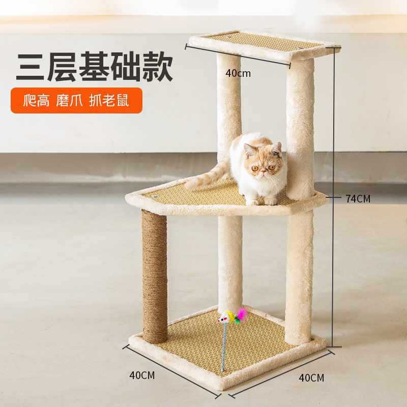 3레이어 기본 모델