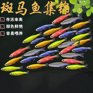 ���R�~�^�p�~С�͵�ˮ���B�Ꭷ�~���w�t�G�����~С��ȸ�~�~��