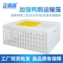 大号塑料大鹅运输笼