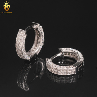Ins Style Wholesale European and American Cross-Border 925 Earrings European and American Men's and Women's Classic Earrings in Stock Versatile Classy Artificial