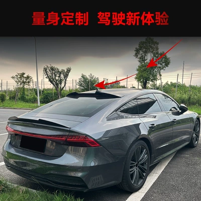Top Wing Rear Wing Roof – Fixed wind wing