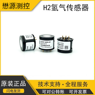 H2/VA-1000 hydrogen concentration detection sensor MEMBRAPOR gas detection probe