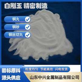 钢丸钢砂钢丝切丸强化钢丸高碳钢耐磨合金金属白刚玉棕刚玉石榴石