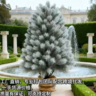 �羳������滨�ɘ�ز��}�Q���ٻ��߼����b���GֲԴ�^�S��